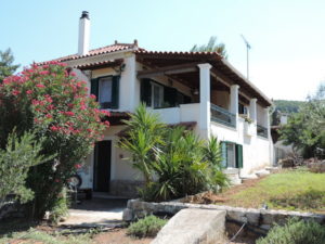 Olive trees and crystal-clear waters